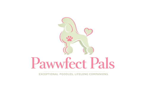 Paww Fect Pals Admin