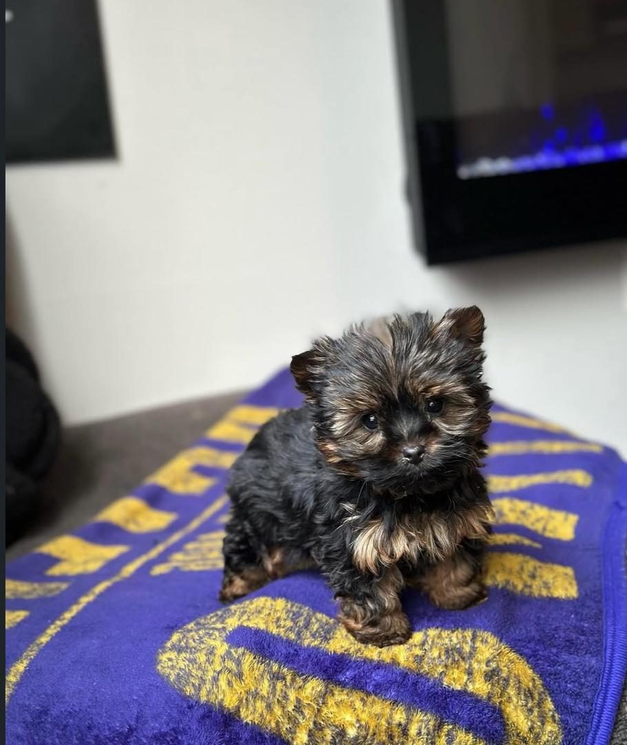 Max