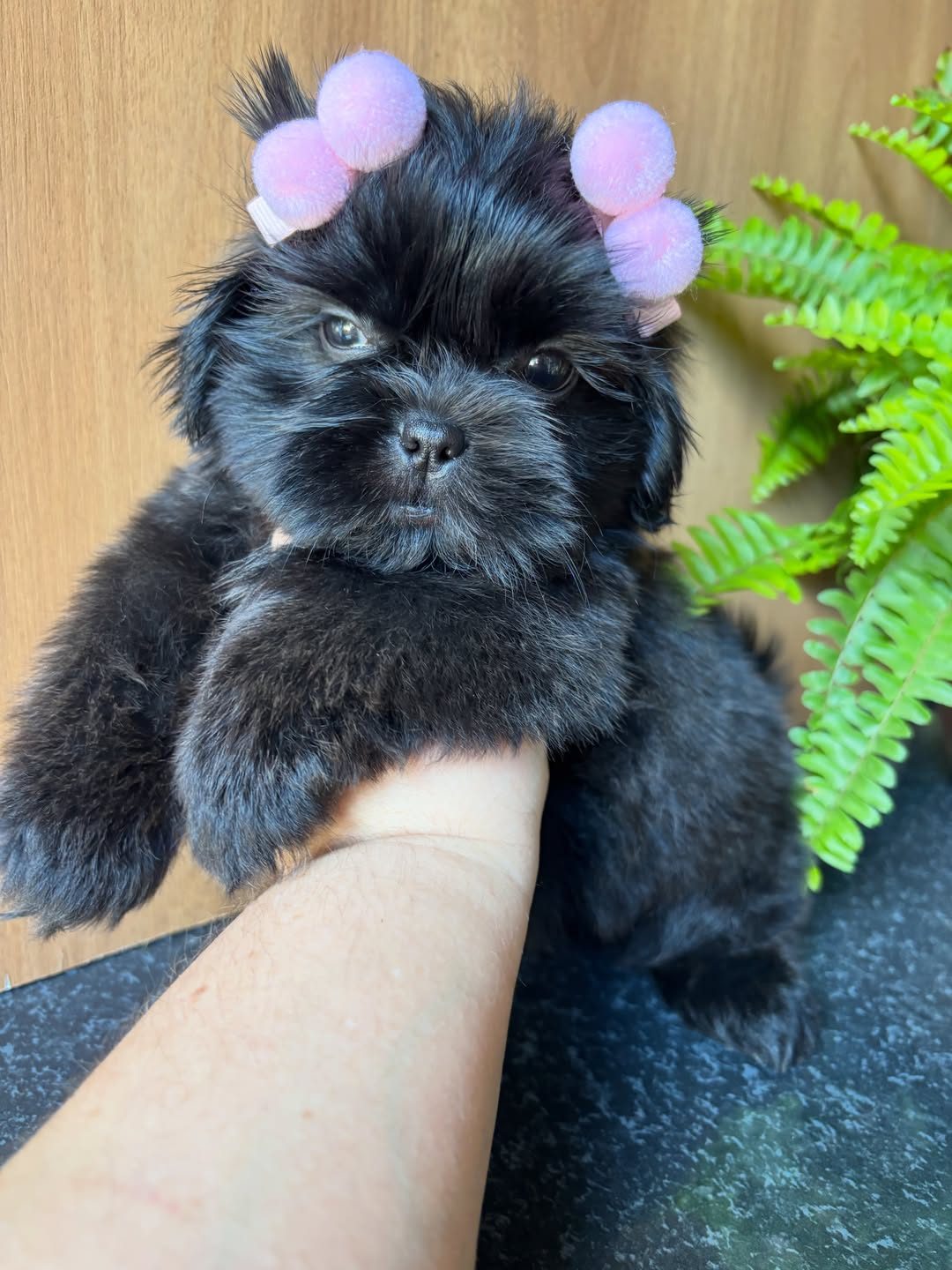 Charlie